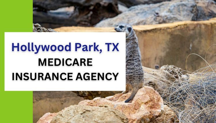Hollywood-Park-medicare-insurance-agency